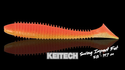 Keitech Swig Impact Fat S05 5,8 détail 1