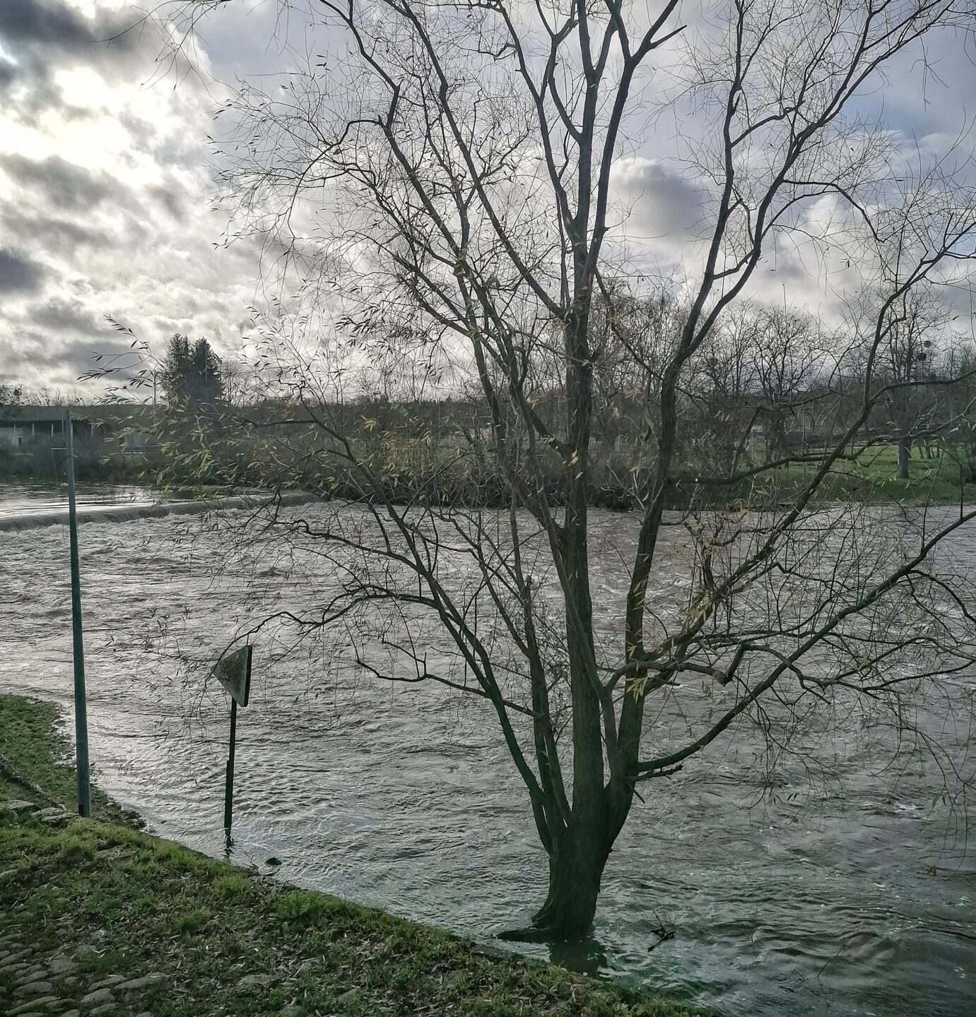 peche de la perche en hiver