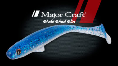 Majorcraft Stasbi Shad Slim Detail 1