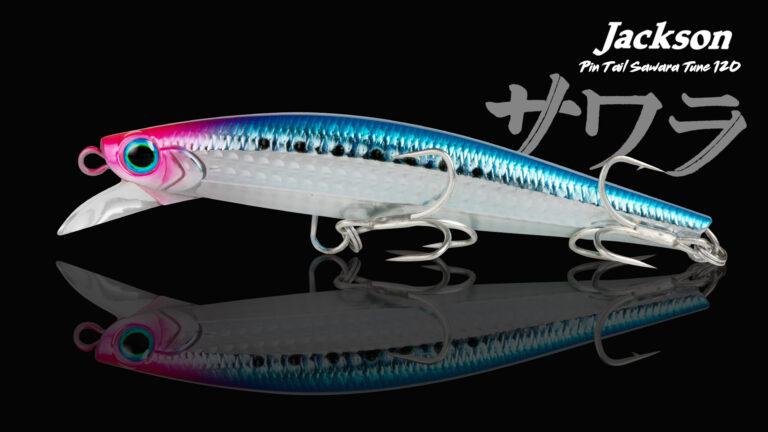 PINTAIL SAWARA TUNE 42