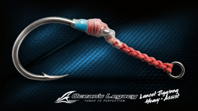 Lancet Jigging Heavy Assist Detail 1