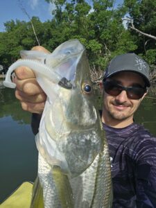 Pêche snook Martinique