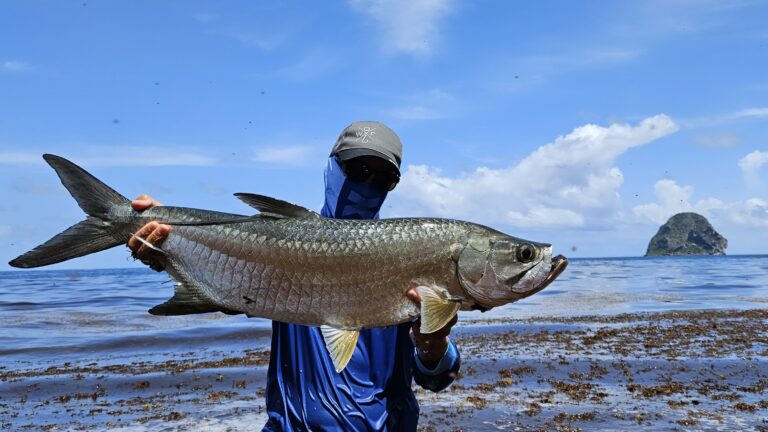 Pêche en Martinique (2ème voyage)