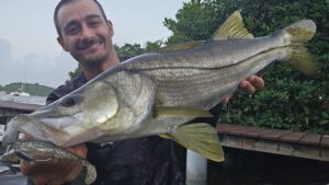 Snook de Martinique