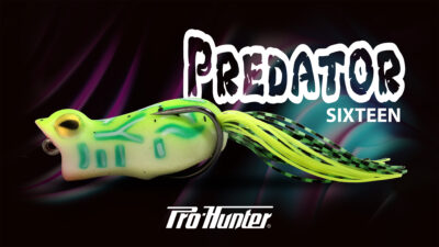 Predator Sixteen detail 1